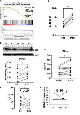 Paradoxical activation of chronic lymphocytic leukemia cells by ruxolitinib in vitro and in vivo